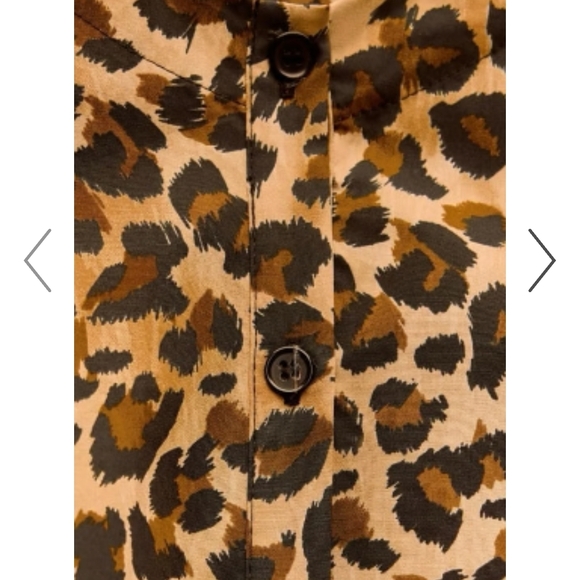 Zara Brown Leopard Print Mini Dress -size S - Picture 3 of 5